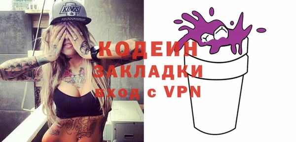 хмурый Карпинск