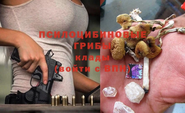 мяу мяу мука Касимов