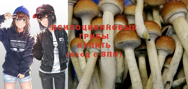 хмурый Карпинск