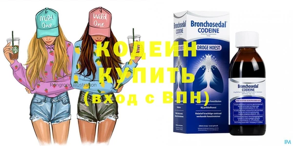 хмурый Карпинск