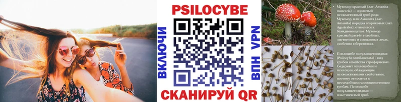 Псилоцибиновые грибы Magic Shrooms  Купить  Озёрск 